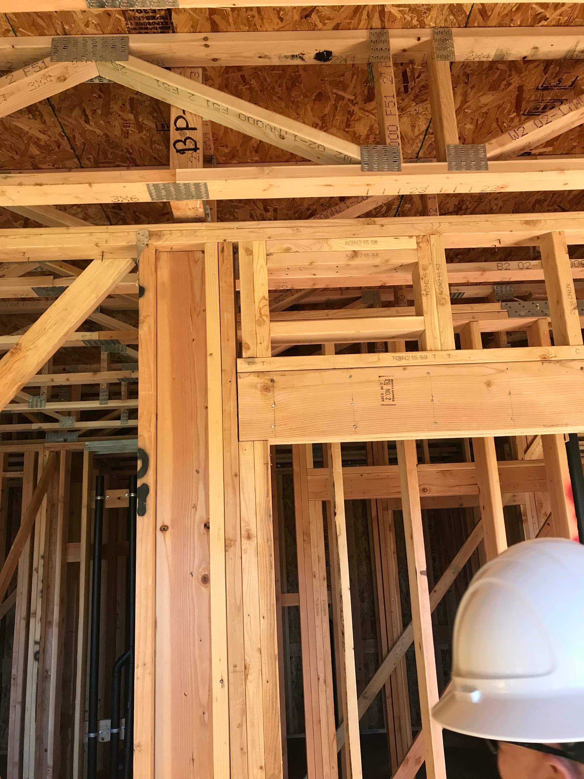 Structural engineer reviewing building plans on a Reno construction site
